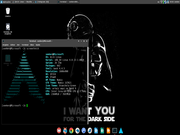  Arch Linux + XFCE ...